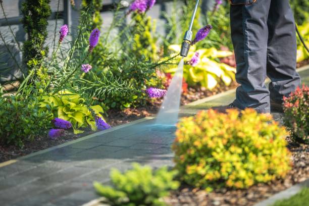 Best Building Exterior Pressure Washing in Archdale, NC