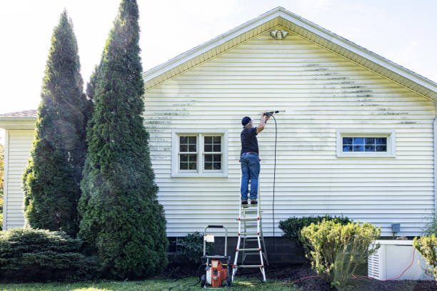 Best Roof Cleaning and Mildew Removal in Archdale, NC